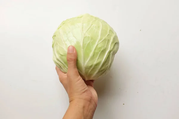 Close Female Hand Holding Fresh Organic Green Cabbage Isolate White — Stockfoto