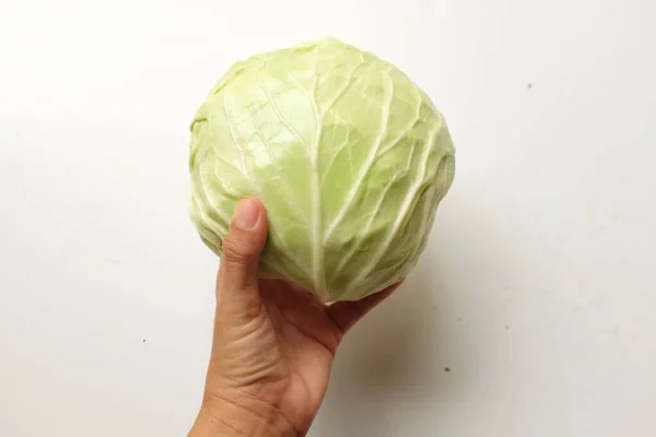 Close Woman Hand Holding Fresh Organic Green Cabbage Isolate White — Stockfoto