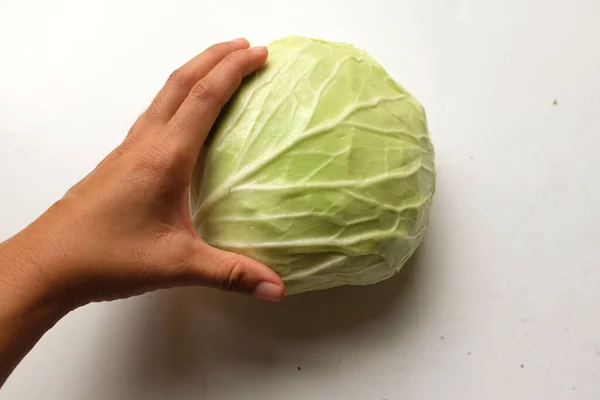Close Female Hand Holding Fresh Organic Green Cabbage Isolate White — Stockfoto