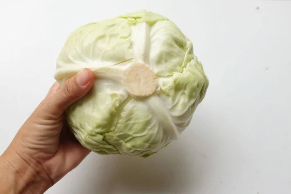 Close Woman Hand Holding Fresh Organic Green Cabbage Isolate White — Stockfoto
