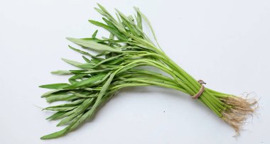 top view of fresh water morning glory, water spinach (ipomoea aquatica) isolated on white background.water convolvulus and kang kong.