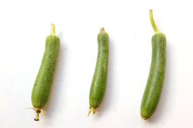 top view and close up fresh sponge gourd (luffa aegyptiaca) is family plant cucurbitaceae is vegetable herb and is short lived ivy isolated on white background.