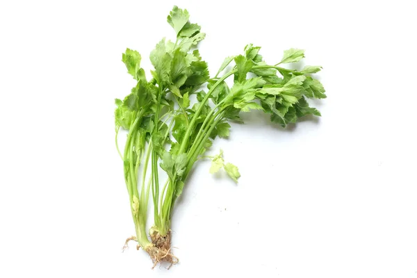 Top View Flat Lay Fresh Celery Apium Graveolens Isolated White — 图库照片