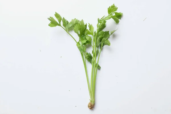 Top View Flat Lay Fresh Celery Apium Graveolens Isolated White — Stockfoto