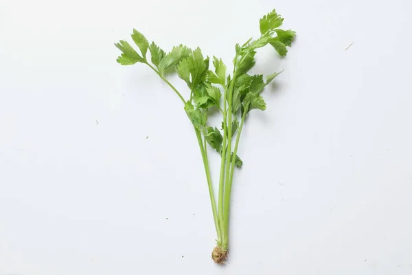 Top View Flat Lay Fresh Celery Apium Graveolens Isolated White — Stok fotoğraf