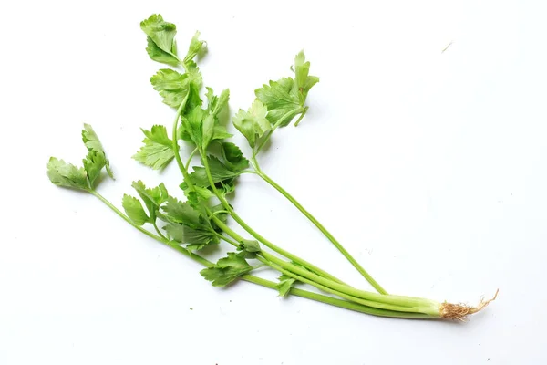 Top View Flat Lay Fresh Celery Apium Graveolens Isolated White —  Fotos de Stock