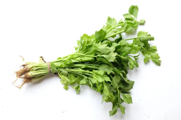 Bouquet Celery Apium Graveolens Isolated White Background Vegetable Full Nutritions — Stok Foto