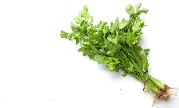 Bouquet Celery Apium Graveolens Isolated White Background Vegetable Full Nutritions —  Fotos de Stock