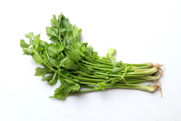 Bouquet Celery Apium Graveolens Isolated White Background Vegetable Full Nutritions — Stockfoto