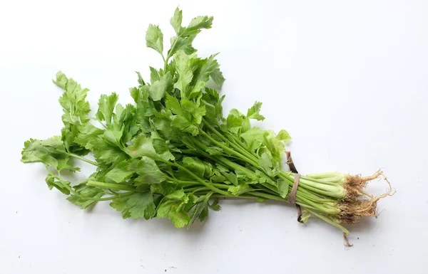 Bouquet Celery Apium Graveolens Isolated White Background Vegetable Full Nutritions — Foto Stock