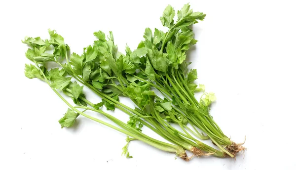Bouquet Celery Apium Graveolens Isolated White Background Vegetable Full Nutritions —  Fotos de Stock