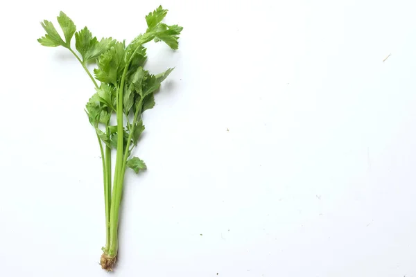 Top View Flat Lay Fresh Celery Apium Graveolens Isolated White — Fotografia de Stock