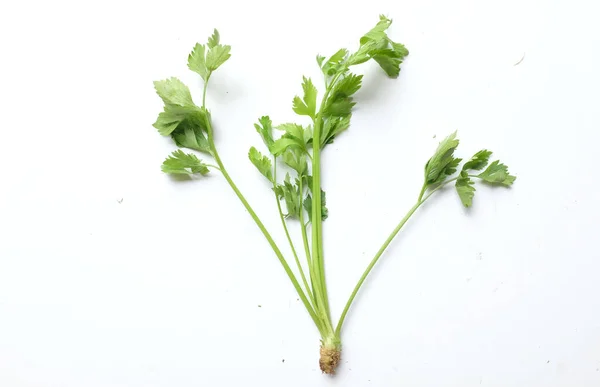 Top View Flat Lay Fresh Celery Apium Graveolens Isolated White — Stockfoto
