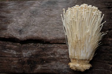 top view and close up of fresh organic white fresh golden needle mushroom or enoki mushroom isolated on on a wooden chopping board