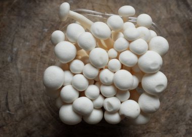 top view and flat lay of fresh organic white beech mushrooms or shimeji mushrooms isolate on a wooden chopping board