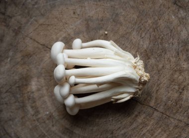 top view and flat lay of fresh organic white beech mushrooms or shimeji mushrooms isolate on a wooden chopping board