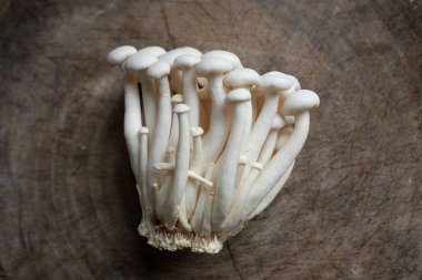 top view and flat lay of fresh organic white beech mushrooms or shimeji mushrooms isolate on a wooden chopping board