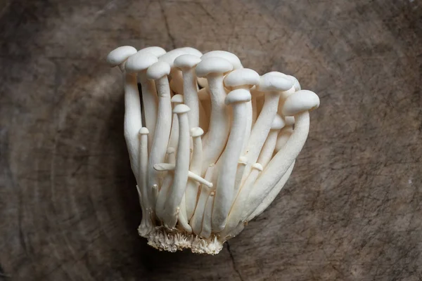 top view and flat lay of fresh organic white beech mushrooms or shimeji mushrooms isolate on a wooden chopping board