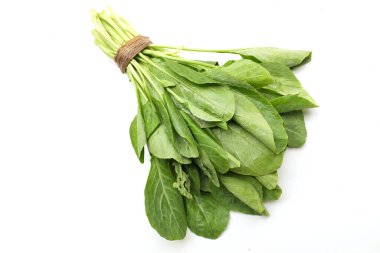 Bir demet taze yeşil organik Çin lahanası, Kailaan, Hong Kong lahanası, Çin brokolisi, (Brassica alboglabra) beyaz arka planda izole edilmiş sebze. sağlıklı ya da doğal gıda içeriği kavramı