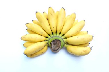Üst görüşlü bayan parmak muz ve altın muz, sidik mas muz, musa sapientum, beyaz arka planda izole. Sağlıklı muz meyvesi.