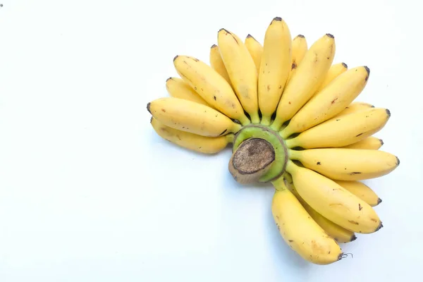 トップ表示女性の指バナナと黄金のバナナの手 ピザンマスバナナ ムサピエントゥム 白い背景に隔離された 健康的なバナナフルーツ食品 — ストック写真