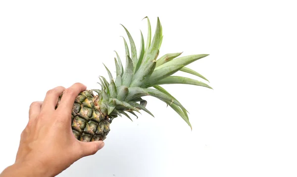 Copy Space Hand Holding Fresh Ripe Pineapple Fruit White Background — Stock Photo, Image