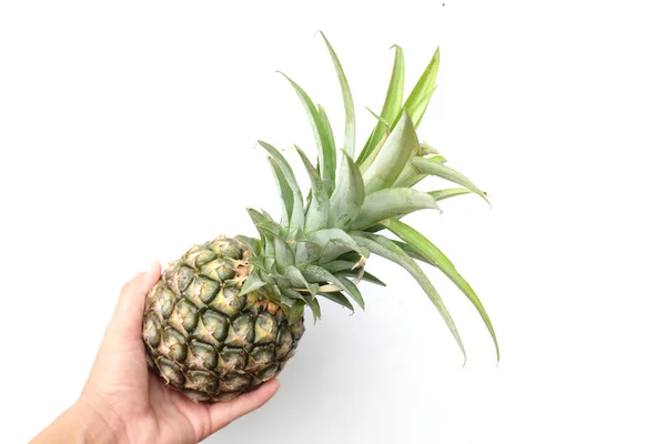 Frau Hält Frische Reife Ananasfrüchte Auf Weißem Hintergrund Der Hand — Stockfoto