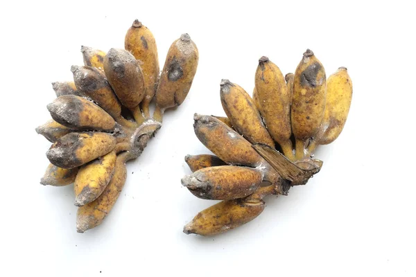 a ripe yellow bananas fruit that are rotten and white mold with black skin and dark brown and yellow, not fresh isolate on a white background close up. unhealthy and expired fruit.