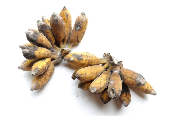 copy space a ripe yellow bananas fruit that are rotten and white mold with black skin and dark brown and yellow, not fresh isolate on a white background close up. unhealthy and expired fruit.