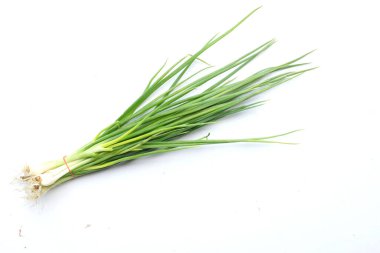 Taze yeşil soğan, yeşil soğan, (allium cepa var. Beyaz bir arkaplanda izole et. Bir ilaç özelliği var ve Tayland yemeklerinde kullanılır..