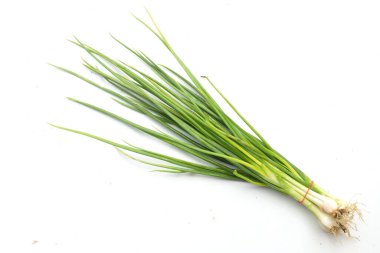 Taze yeşil soğan, yeşil soğan, (allium cepa var. Beyaz bir arkaplanda izole et. Bir ilaç özelliği var ve Tayland yemeklerinde kullanılır..