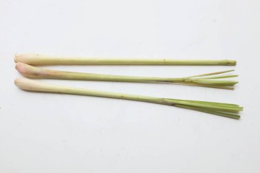 taze organik limon otu, cymbopogon citratus, lapine, limon otu, beyaz arka planda izole edilmiş .ünlü malzeme, Asya mutfağında gıda otları.