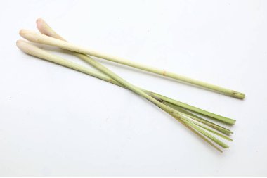 taze organik limon otu, cymbopogon citratus, lapine, limon otu, beyaz arka planda izole edilmiş .ünlü malzeme, Asya mutfağında gıda otları.