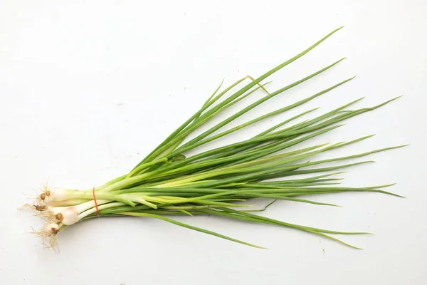 Verse Groene Lente Groene Sjalot Allium Cepa Var Aggregatum Isoleren — Stockfoto