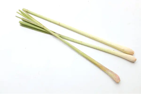Φρέσκο Οργανικό Λεμονόχορτο Cymbopogon Citratus Lapine Λεμονόχορτο Απομονώνουν Λευκό Φόντο — Φωτογραφία Αρχείου