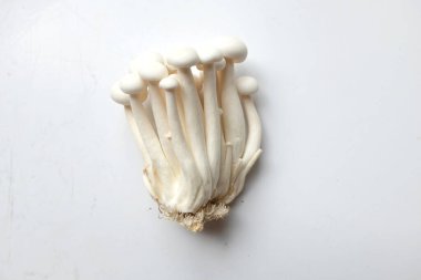 Üst ve düz organik kayın mantarları veya shimeji mantarları beyaz arka planda izole edilmiş sağlıklı süper yiyecekler.