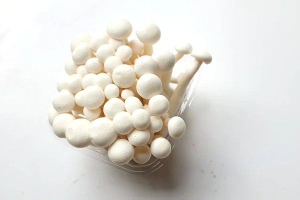 Top View Flat Lay Fresh Organic White Beech Mushrooms Shimeji — Stock Photo, Image