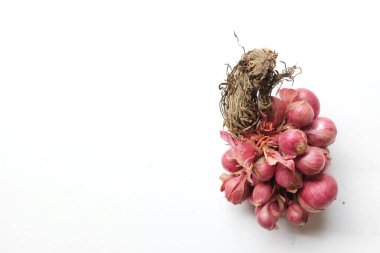 Fotokopi uzayı taze mor soğanlar ya da Tayland kırmızı soğanı ya da Shallotlar beyaz bir arkaplanda izole edilir. Sağlıklı yemek pişirmede baharat kavramı.