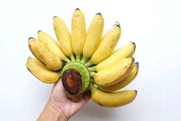 Женская Рука Женским Пальцем Банан Рука Золотых Бананов Pisang Mas — стоковое фото
