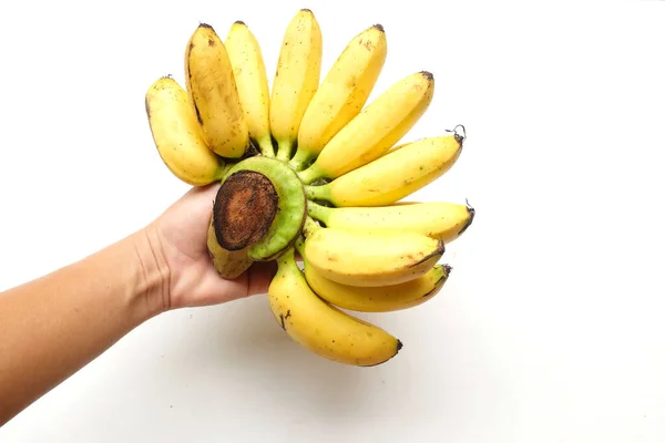 Samica Ręka Trzyma Pani Palec Banan Rękę Złote Banany Pisang — Zdjęcie stockowe