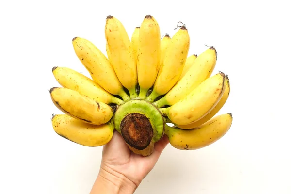 Mão Segurando Uma Banana Dedo Senhora Mão Bananas Douradas Mijo — Fotografia de Stock