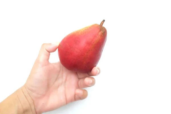 Hand Holding Juicy Ripe Organic Conference Pear Pyrus Communis Louise — Stock Photo, Image