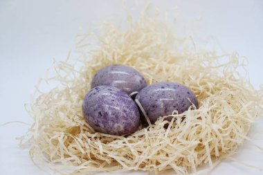 Yuvadaki güzel Paskalya yumurtaları