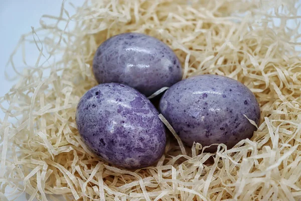 Beautiful Easter Eggs Nest — Stock Photo, Image