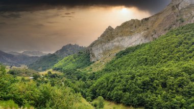 Valle del Lago 'daki orman, Somiedo Doğa Parkı, Asturias, İspanya