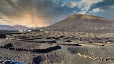 La Geria vineyard on black volcanic soil. Scenic landscape with volcanic vineyards. Lanzarote. Canary Islands. Spain
