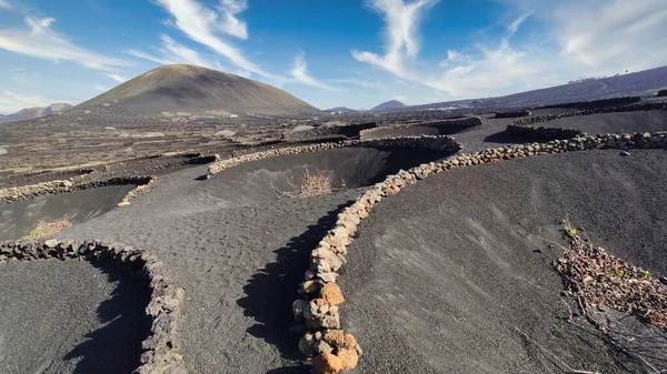La Geria vineyard on black volcanic soil. Scenic landscape with volcanic vineyards. Lanzarote. Canary Islands. Spain — Stockfoto