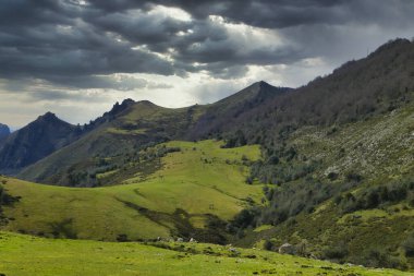 Sierra de Pe amayor, Nava belediyesi, Asturias, İspanya