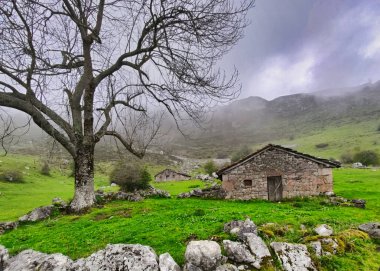 Shepherd 's Barakaları Las Varas Geçidi, Ubias Natural Park, Quirs, Asturias, İspanya