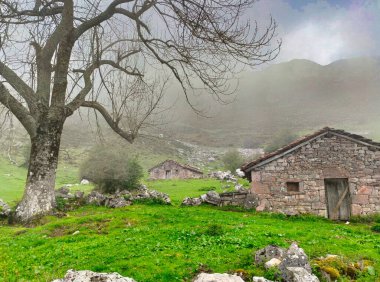 Shepherd's huts in Las Varas pass, Ubias Natural Park, Quirs, Asturias, Spain